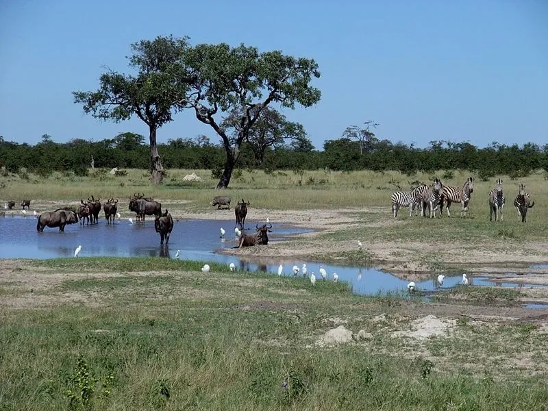 Chobe National Park — Ботсвана